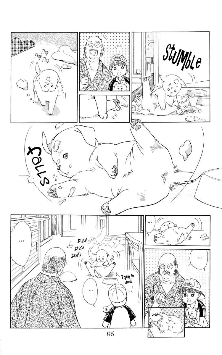 Page 12 Chapter 2 Wild Cats
