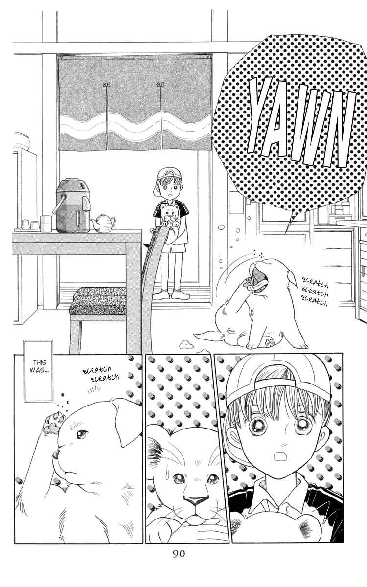 Page 16 Chapter 2 Wild Cats