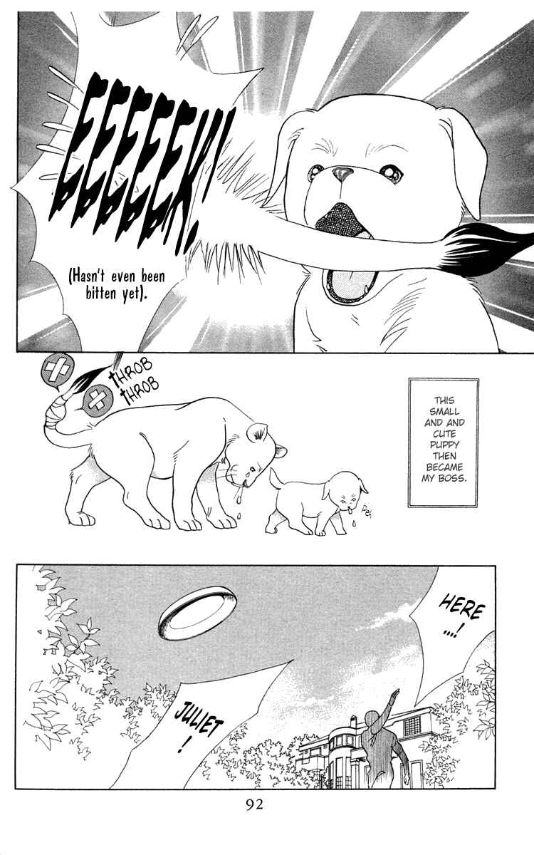 Page 18 Chapter 2 Wild Cats