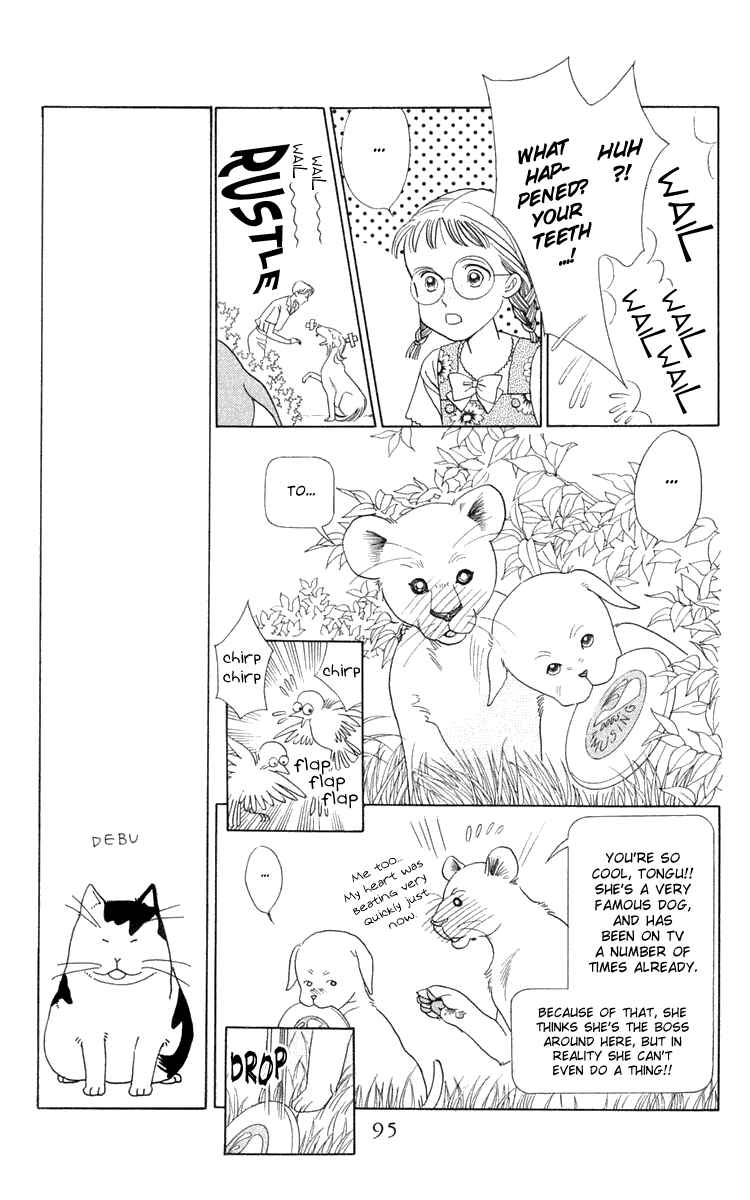 Page 21 Chapter 2 Wild Cats