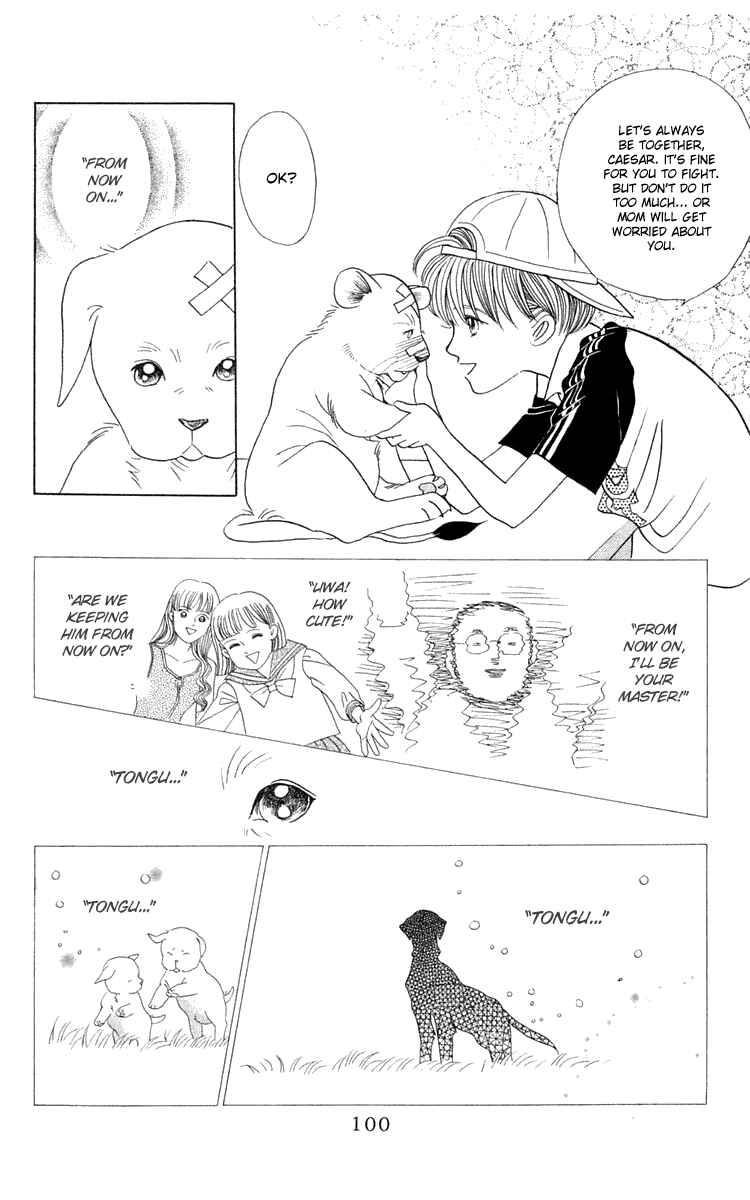 Page 26 Chapter 2 Wild Cats