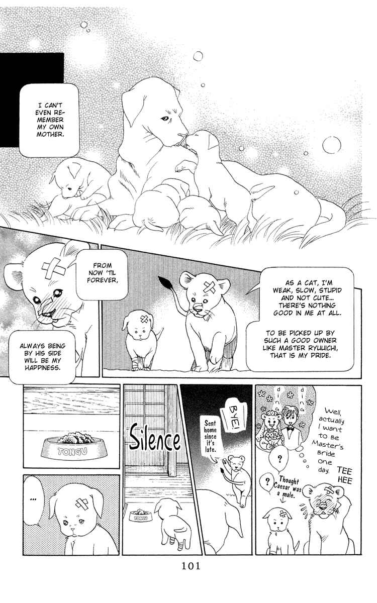 Page 27 Chapter 2 Wild Cats
