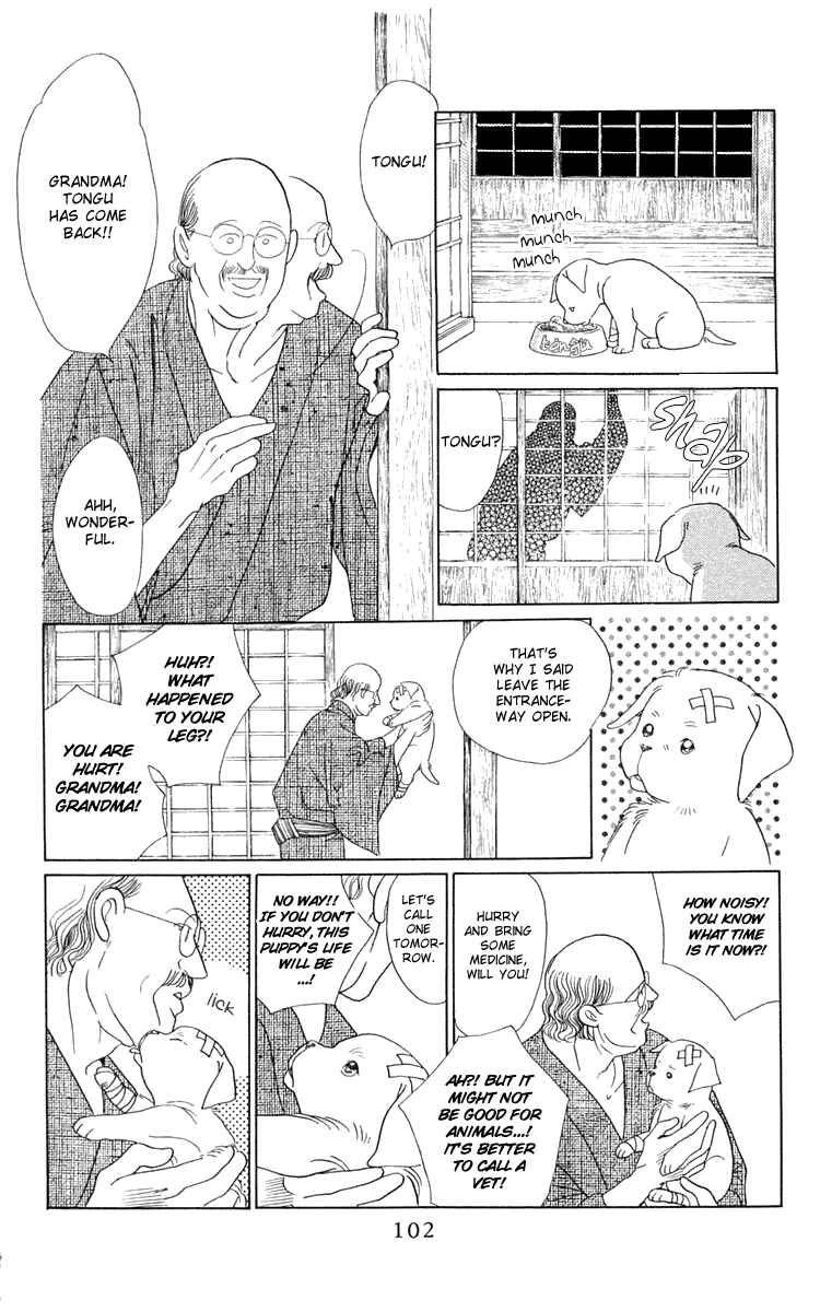 Page 28 Chapter 2 Wild Cats
