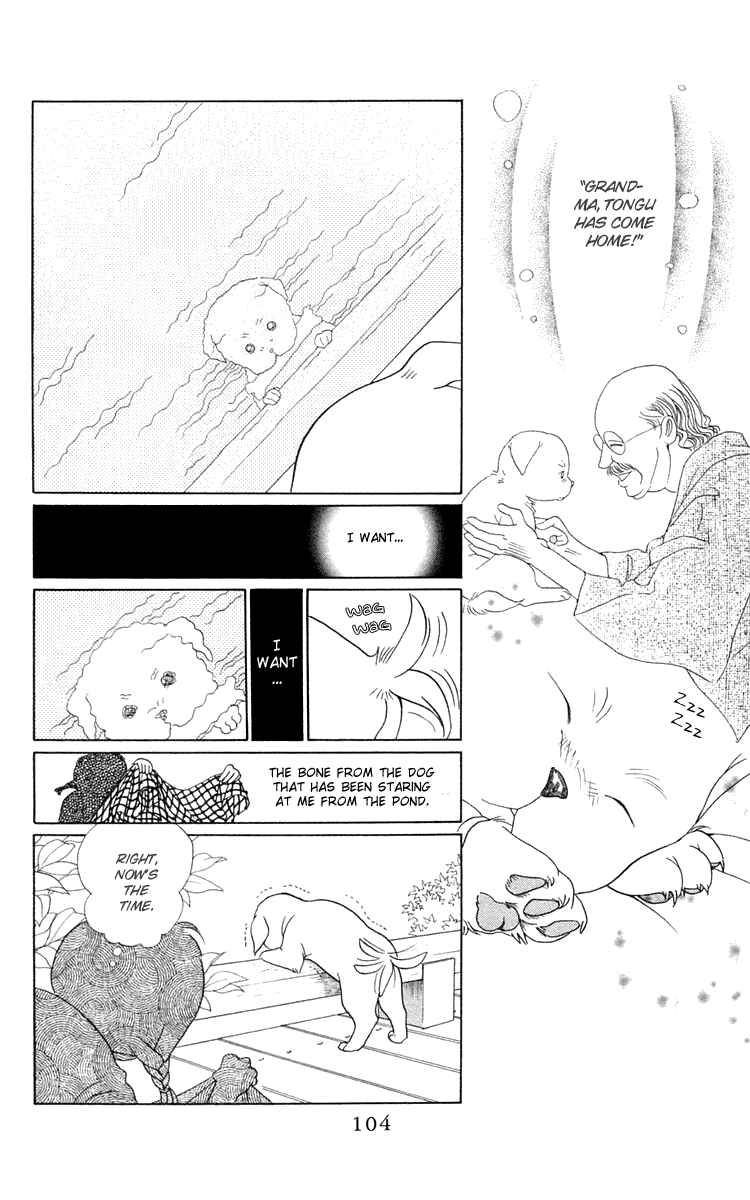Page 30 Chapter 2 Wild Cats