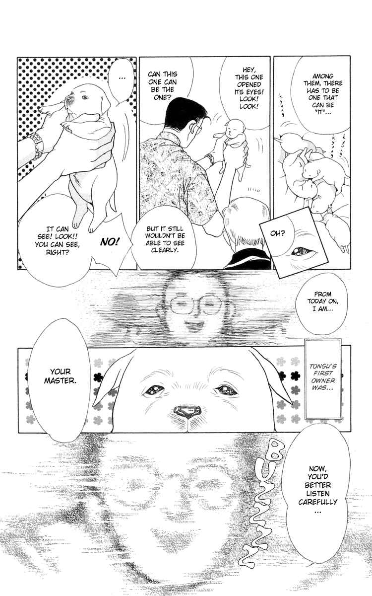 Page 4 Chapter 2 Wild Cats