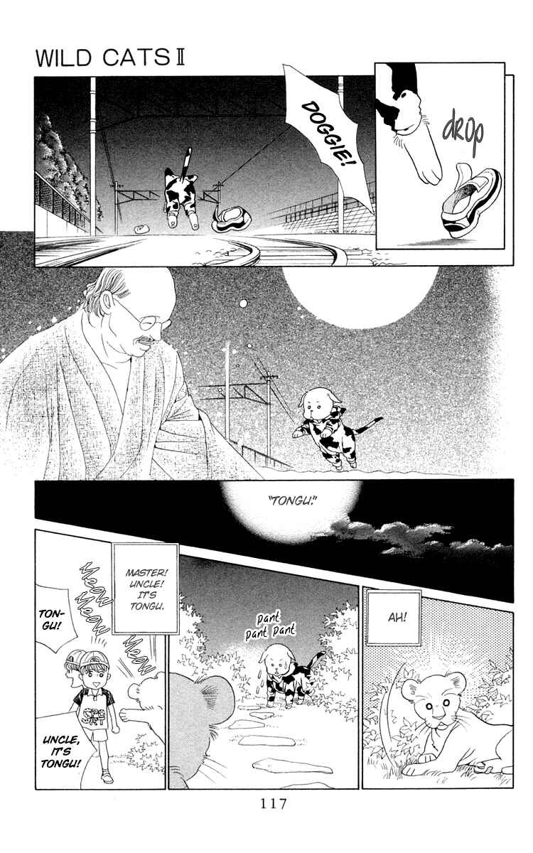 Page 43 Chapter 2 Wild Cats