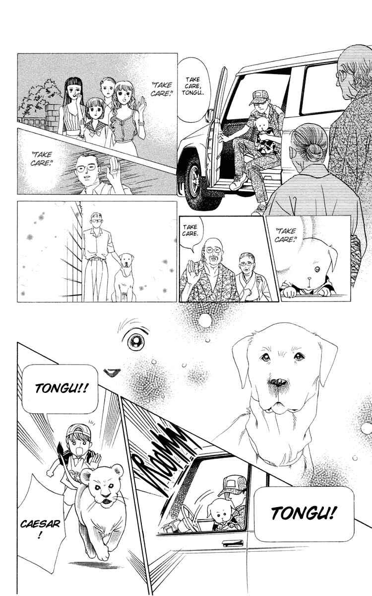 Page 48 Chapter 2 Wild Cats