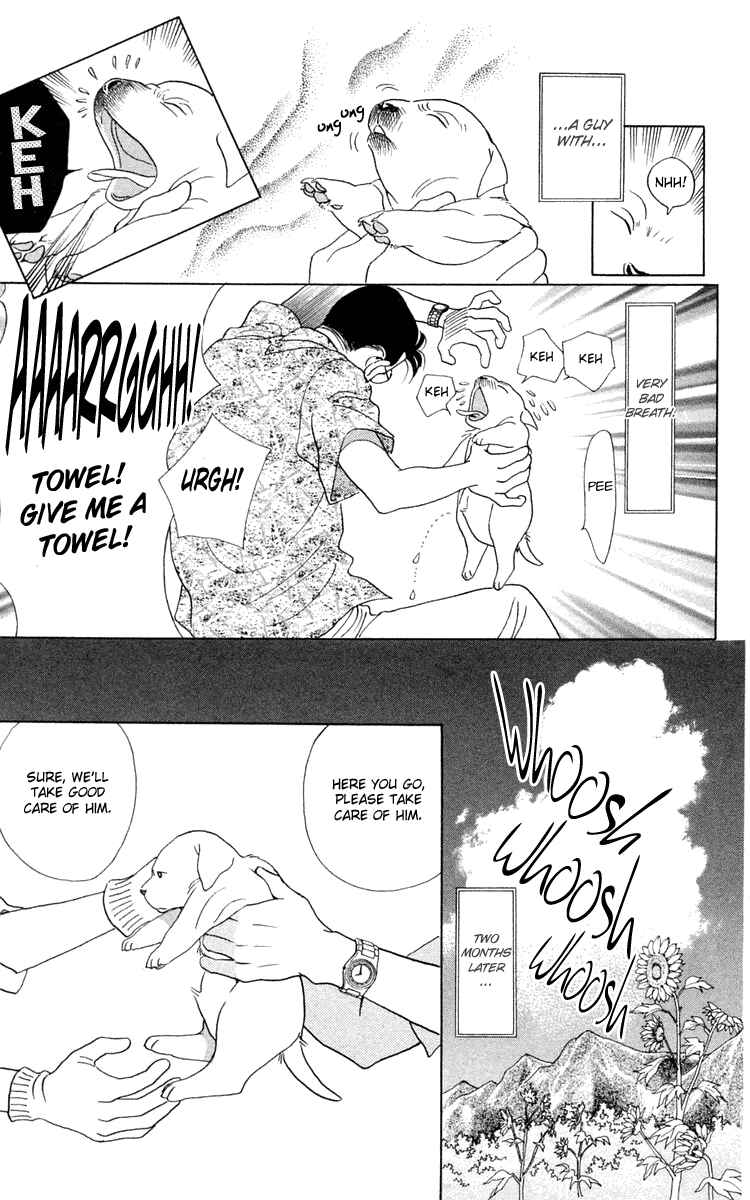 Page 5 Chapter 2 Wild Cats