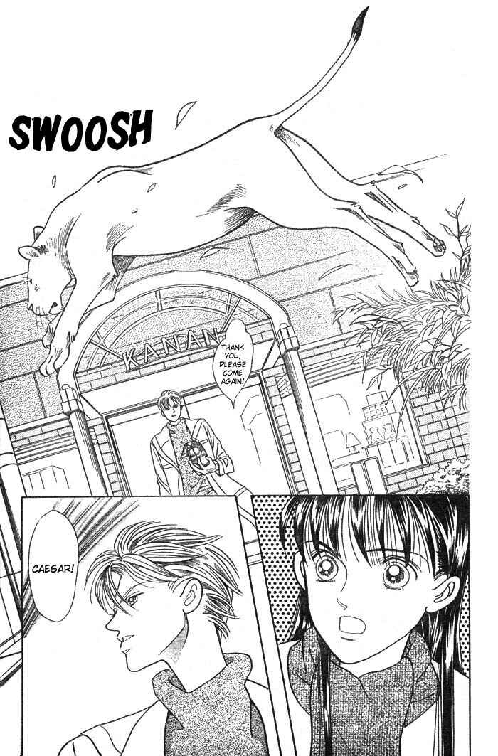 Page 36 Chapter 3 Wild Cats