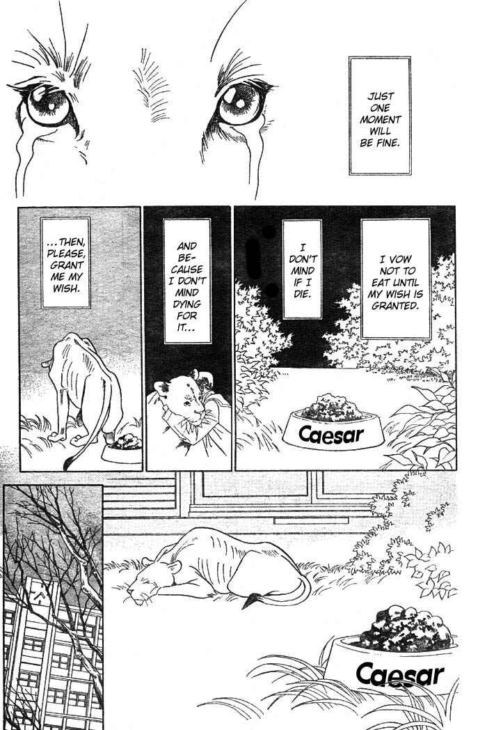 Page 48 Chapter 3 Wild Cats