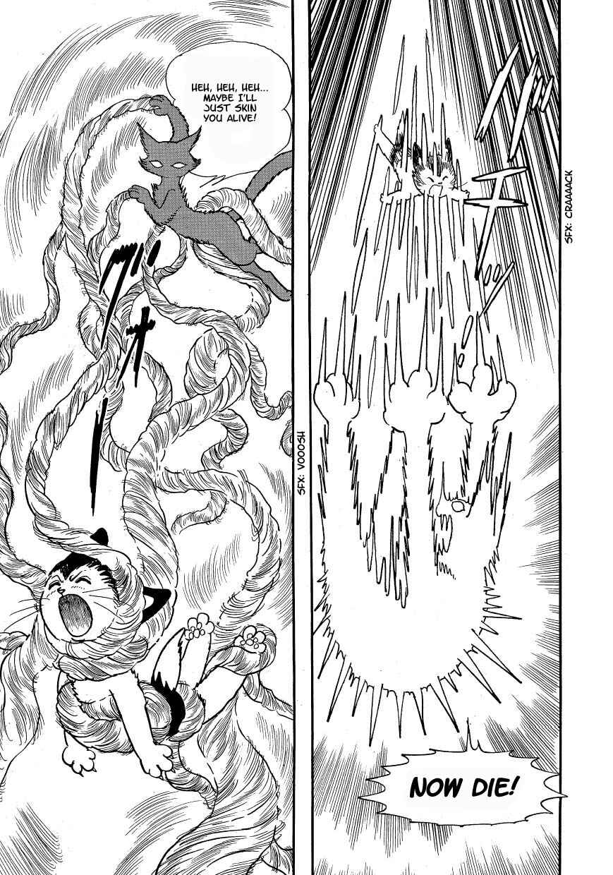 Page 17 Chapter 3 Atom Cat