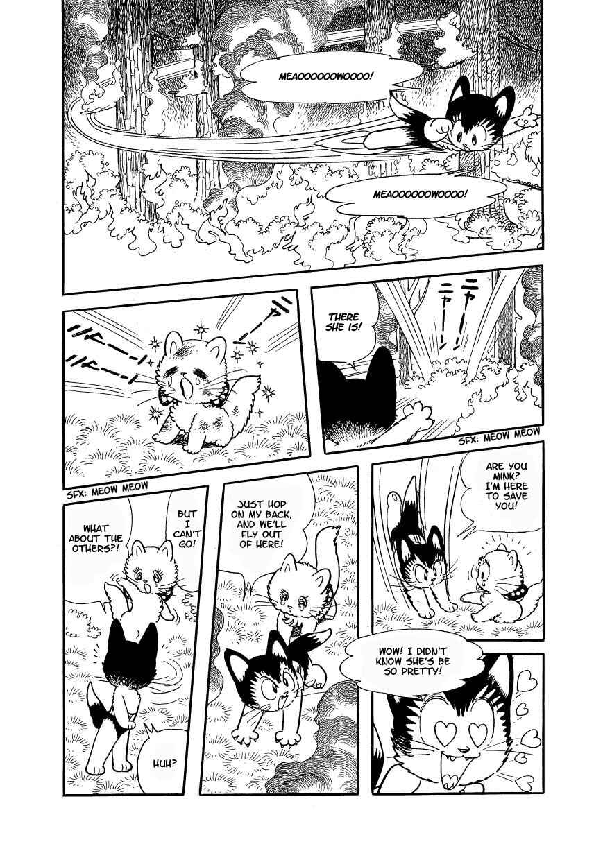Page 17 Chapter 2 Atom Cat