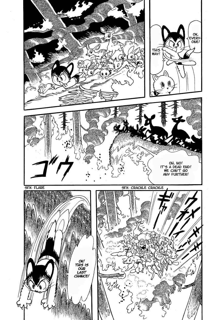 Page 19 Chapter 2 Atom Cat