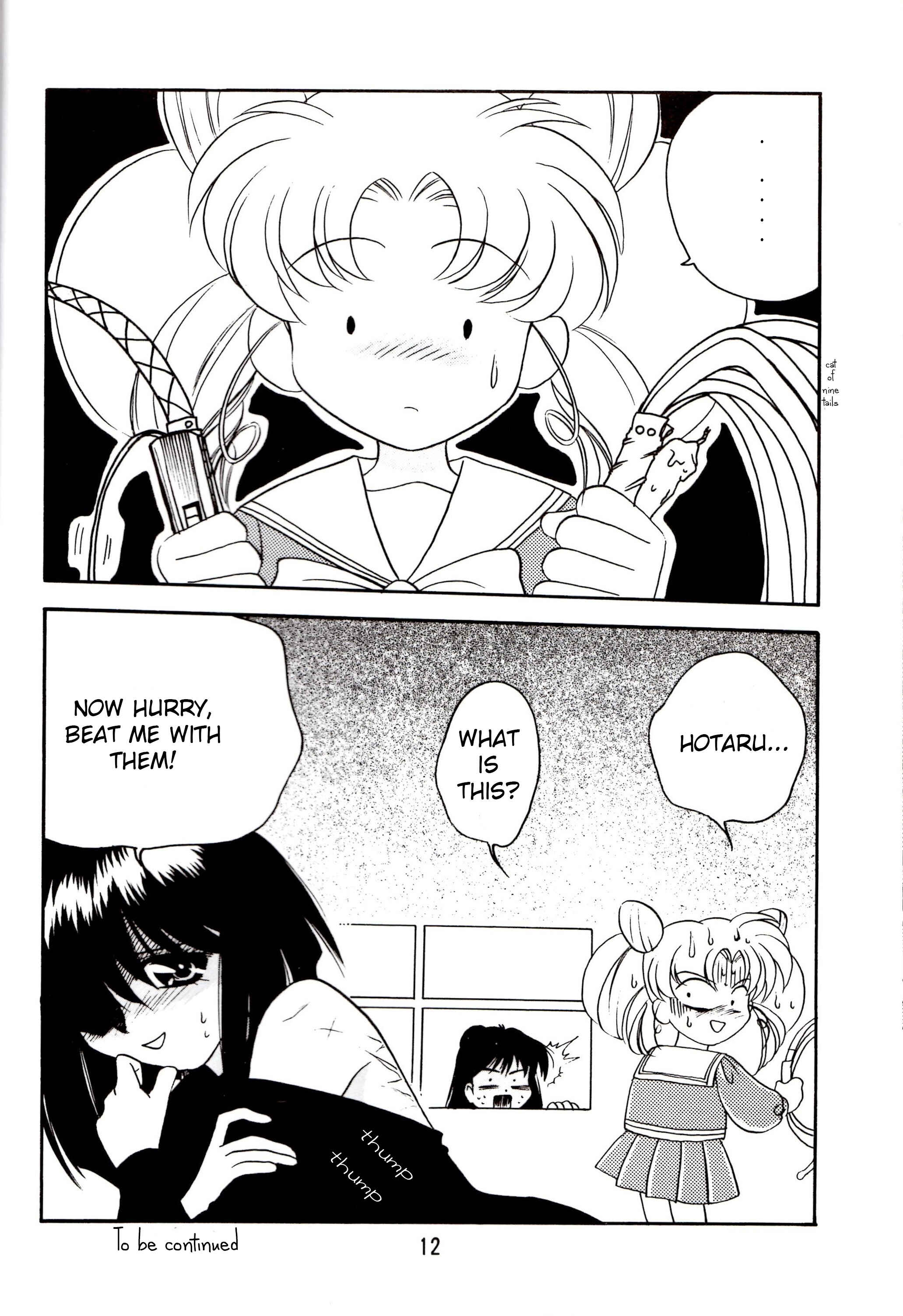 Page 11 Chapter Unknown_d9c1 Bishoujo Senshi Sailormoon - Canon (Doujinshi)