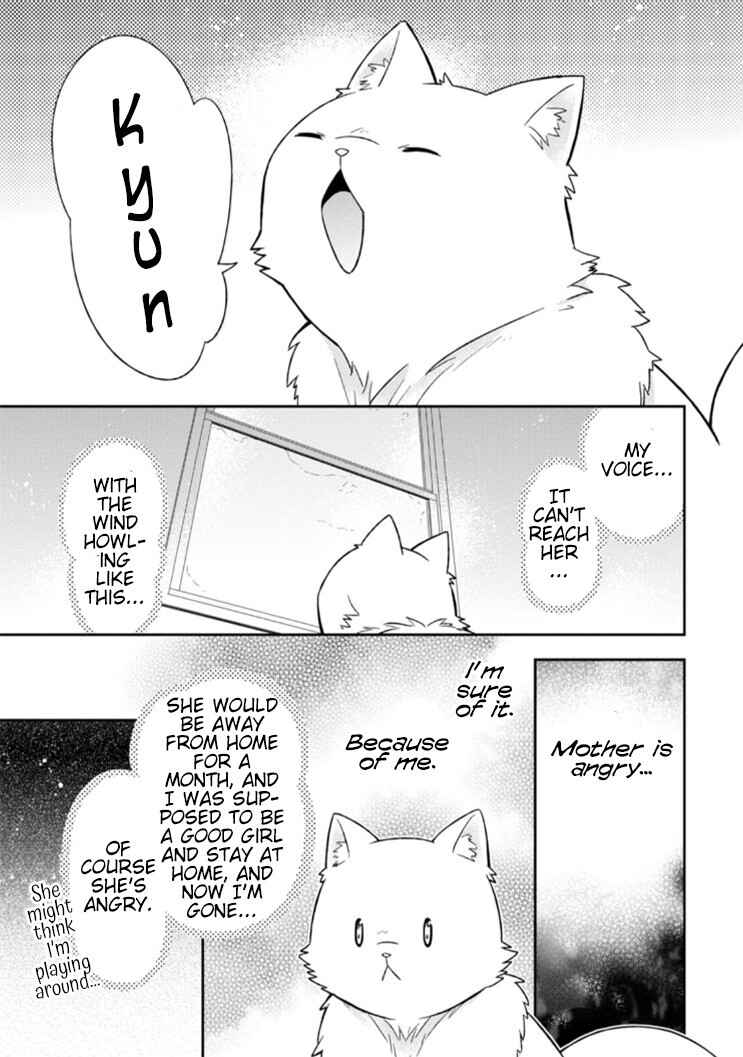 Page 28 Chapter 11 Kita no Toridenite