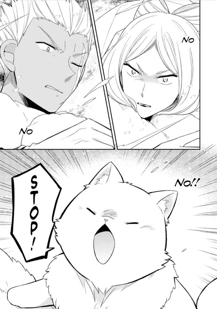 Page 11 Chapter 12 Kita no Toridenite