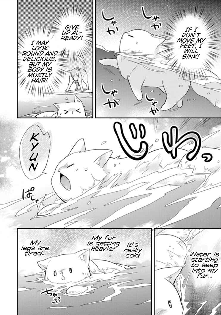Page 21 Chapter 3 Kita no Toridenite
