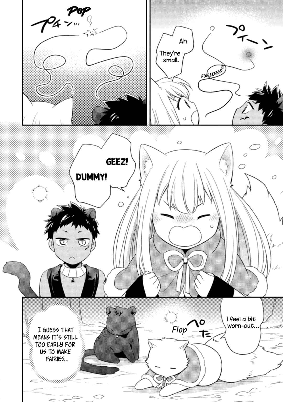 Page 10 Chapter 25 Kita no Toridenite