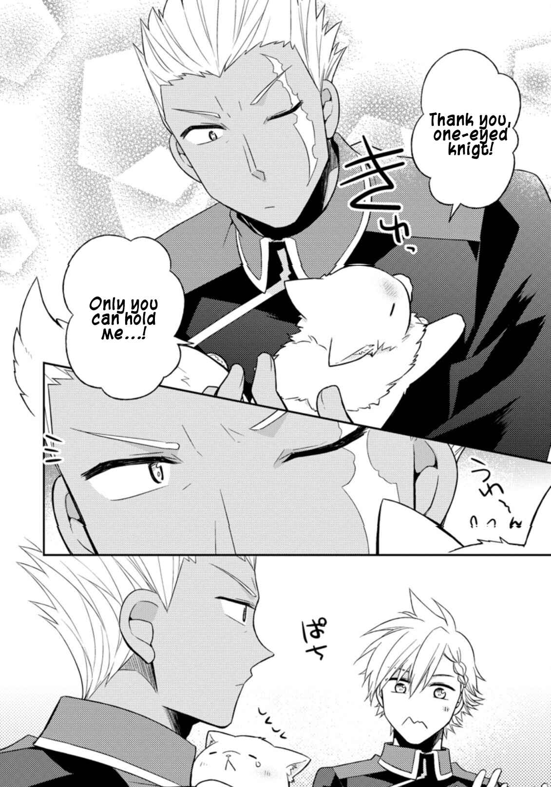 Page 23 Chapter 17 Kita no Toridenite