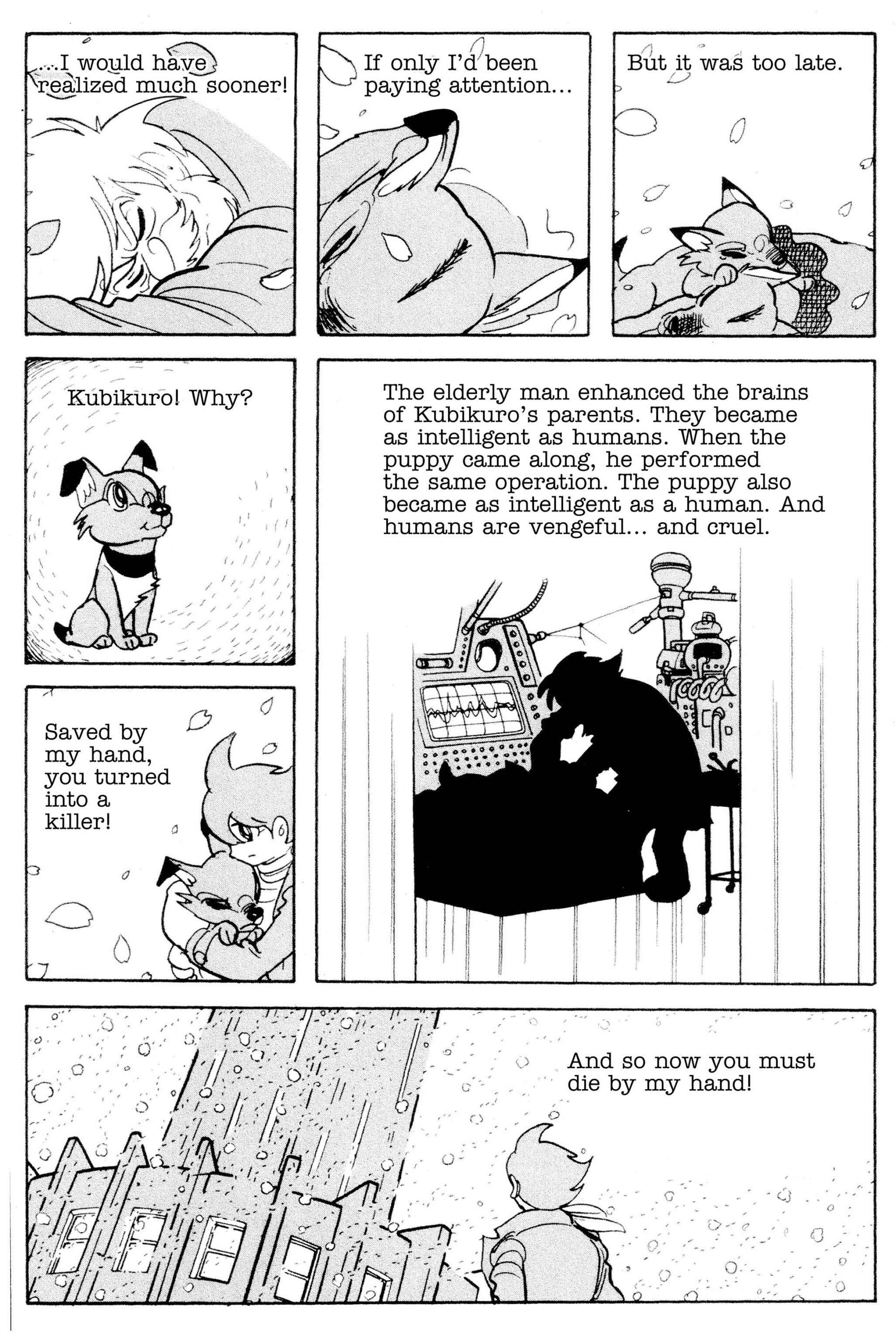 Page 17 Chapter 27.55 Cyborg 009