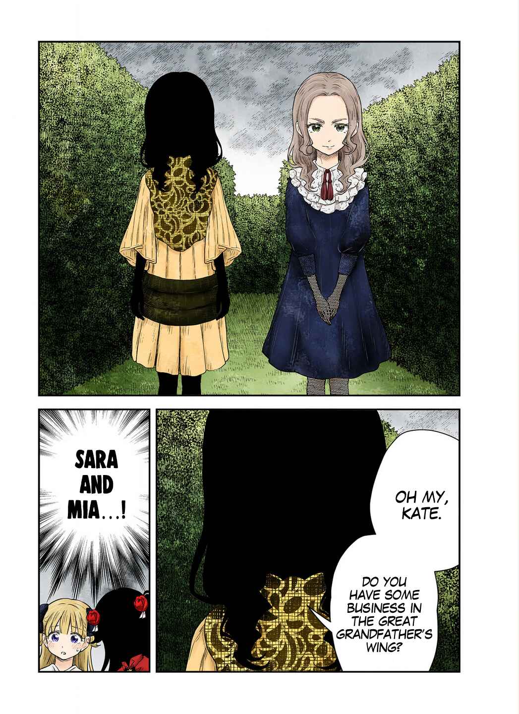 Page 16 Chapter 227 Shadows House (Official Colored)