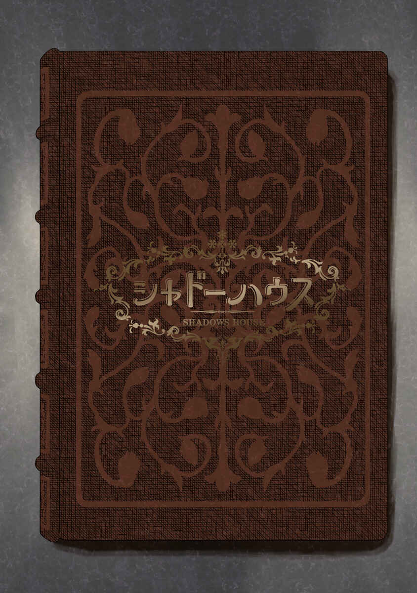 Page 10 Chapter 115.5 Shadows House (Official Colored)