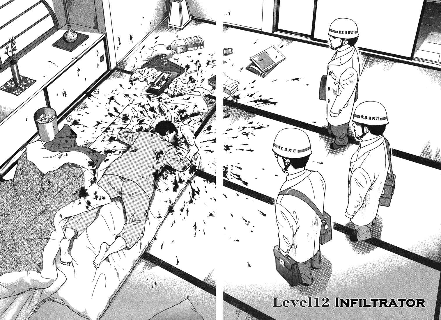 Page 2 Chapter 12 Emerging