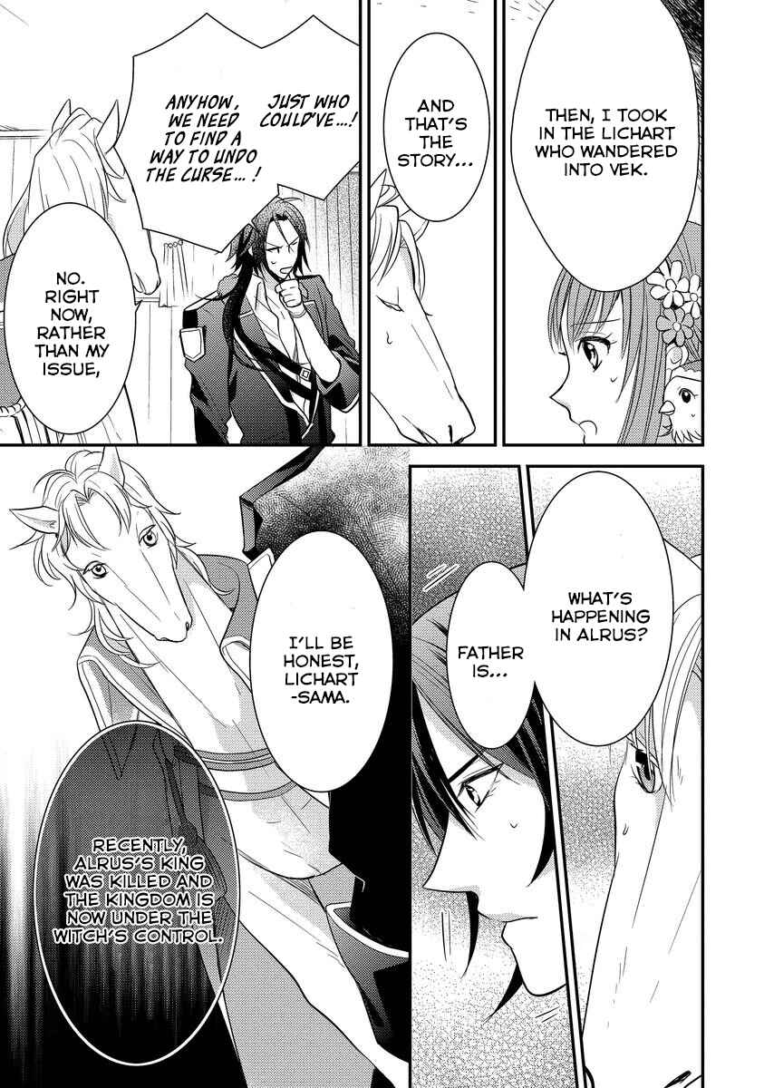 Page 27 Chapter 3 Moujuu-tachi to Ohime-sama