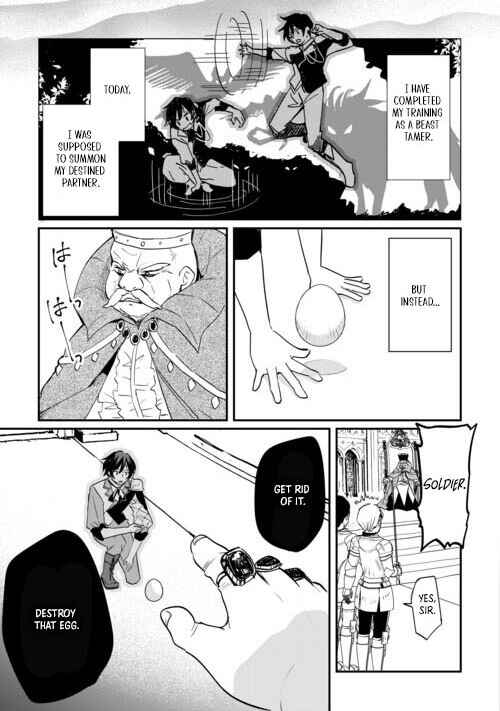 Page 19 Chapter 1.1 Tokage (Hontou wa Shinryuu) wo Shoukan Shita Seijuu Tsukai, Ryuu no Senaka de Kaitaku Life