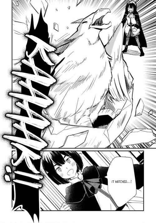 Page 22 Chapter 1.1 Tokage (Hontou wa Shinryuu) wo Shoukan Shita Seijuu Tsukai, Ryuu no Senaka de Kaitaku Life