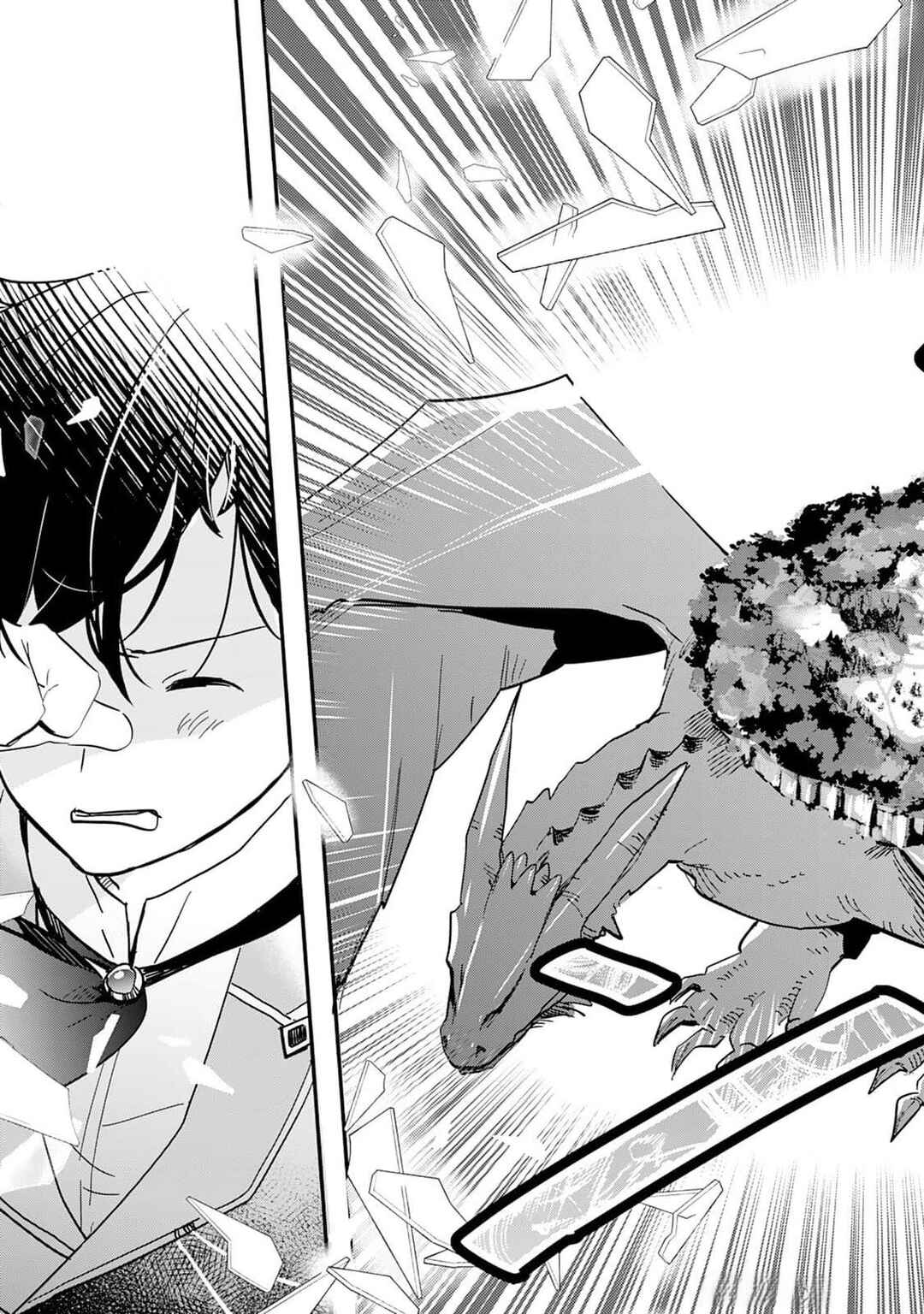 Page 12 Chapter 2 Tokage (Hontou wa Shinryuu) wo Shoukan Shita Seijuu Tsukai, Ryuu no Senaka de Kaitaku Life