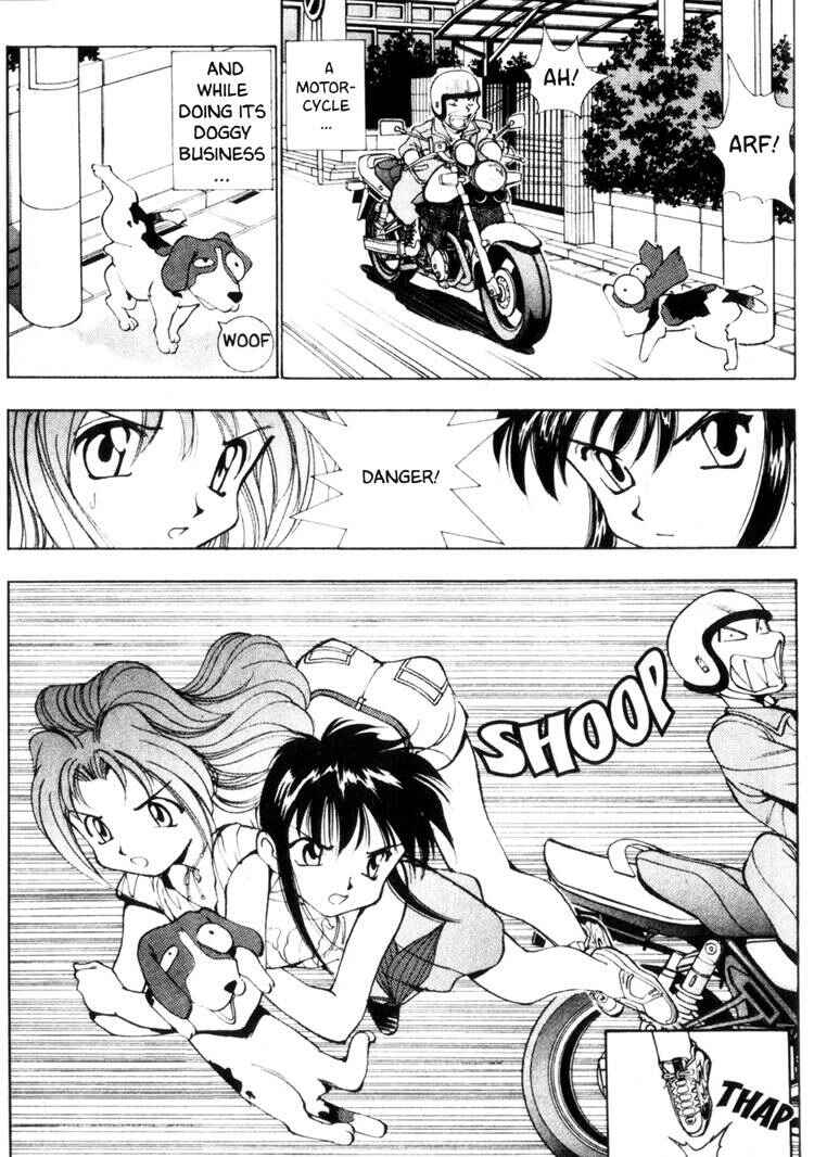 Page 10 Chapter 29 Maico 2010
