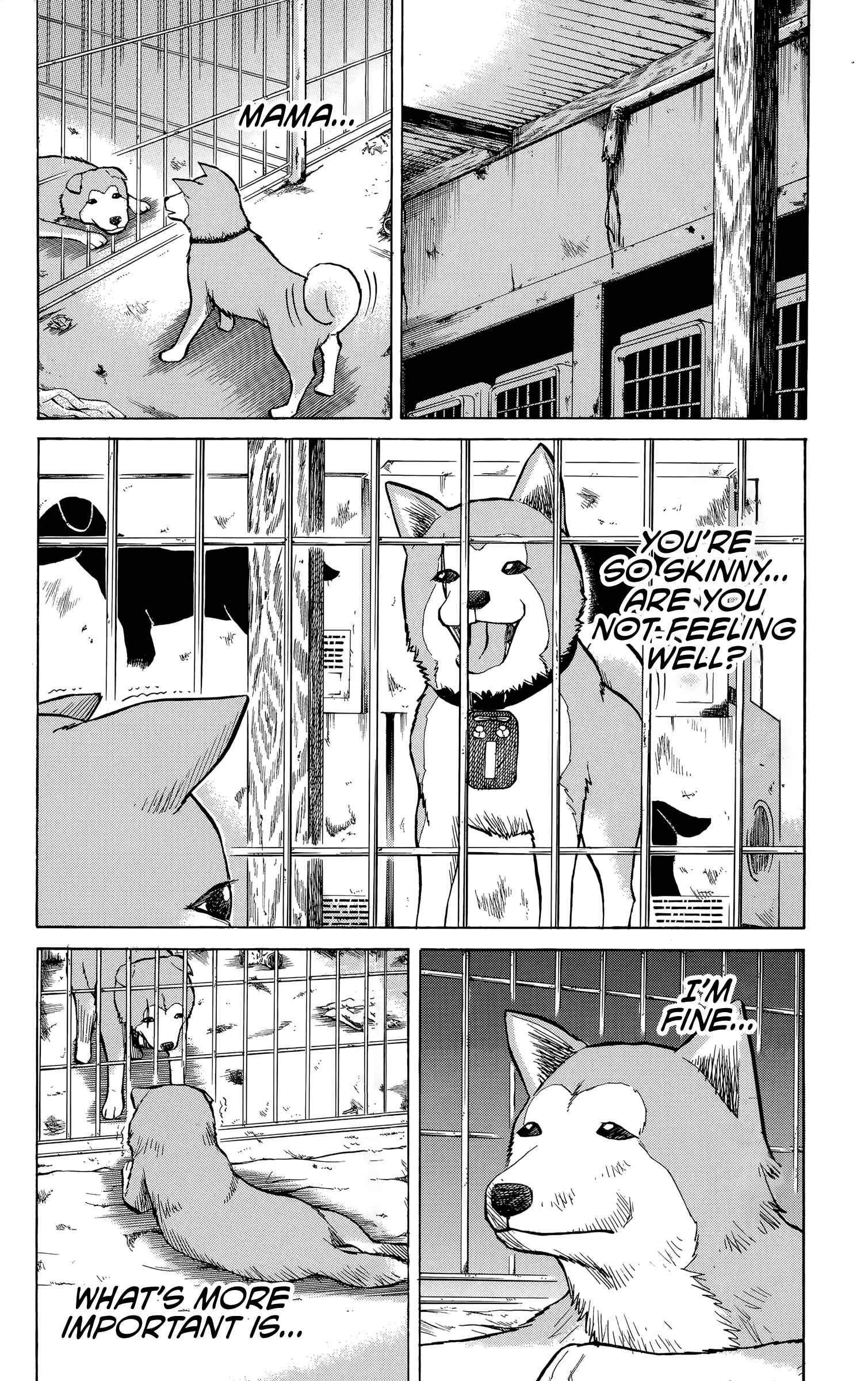 Page 7 Chapter 100 Nanba MG5