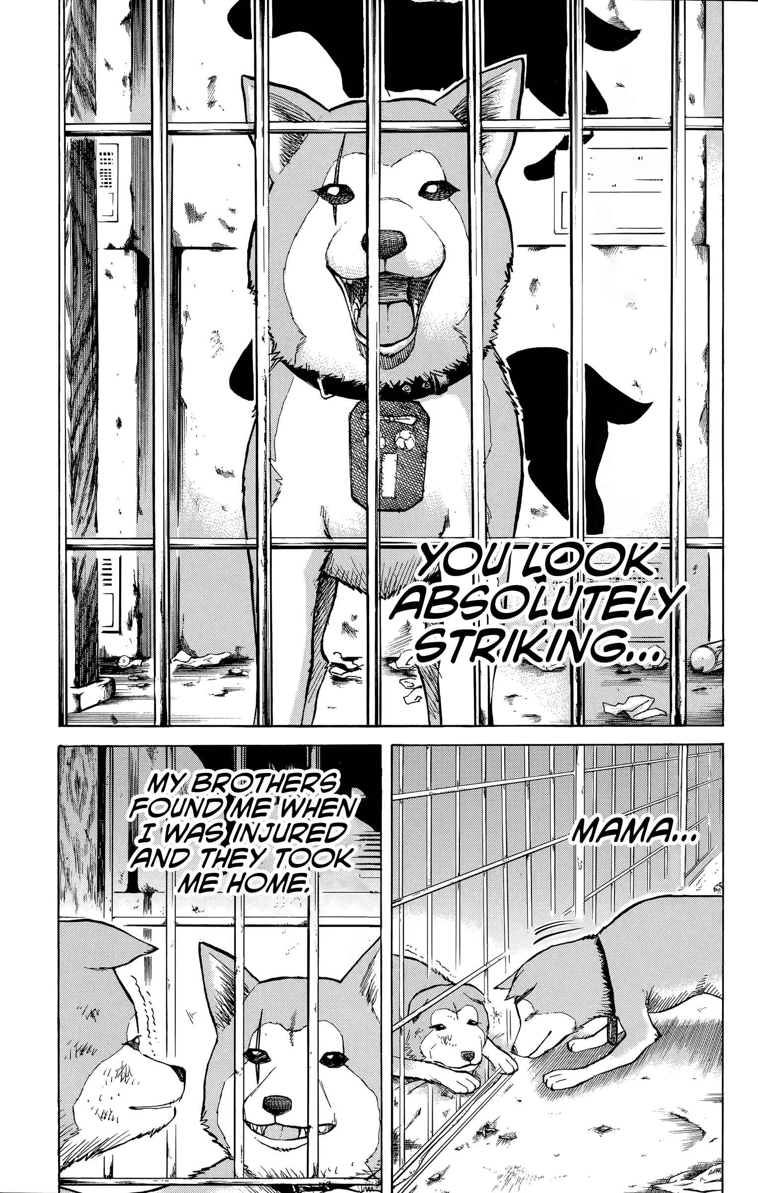 Page 8 Chapter 100 Nanba MG5