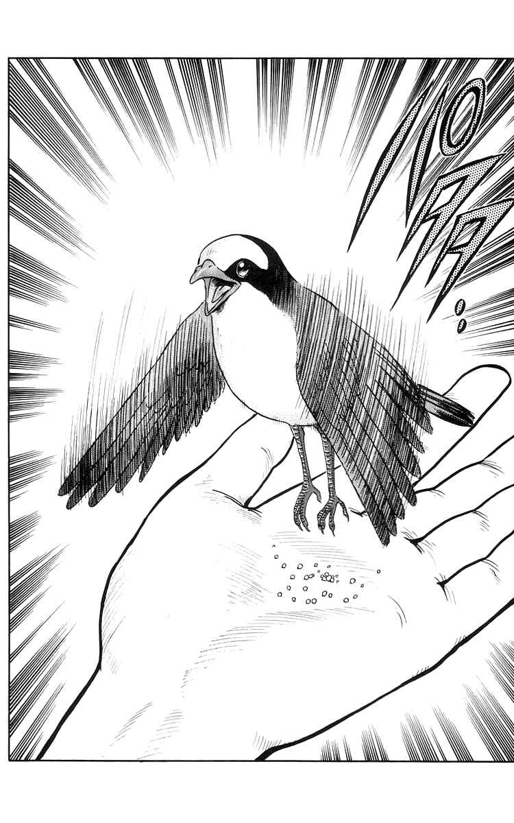Page 31 Chapter 73 Ironfist Chinmi