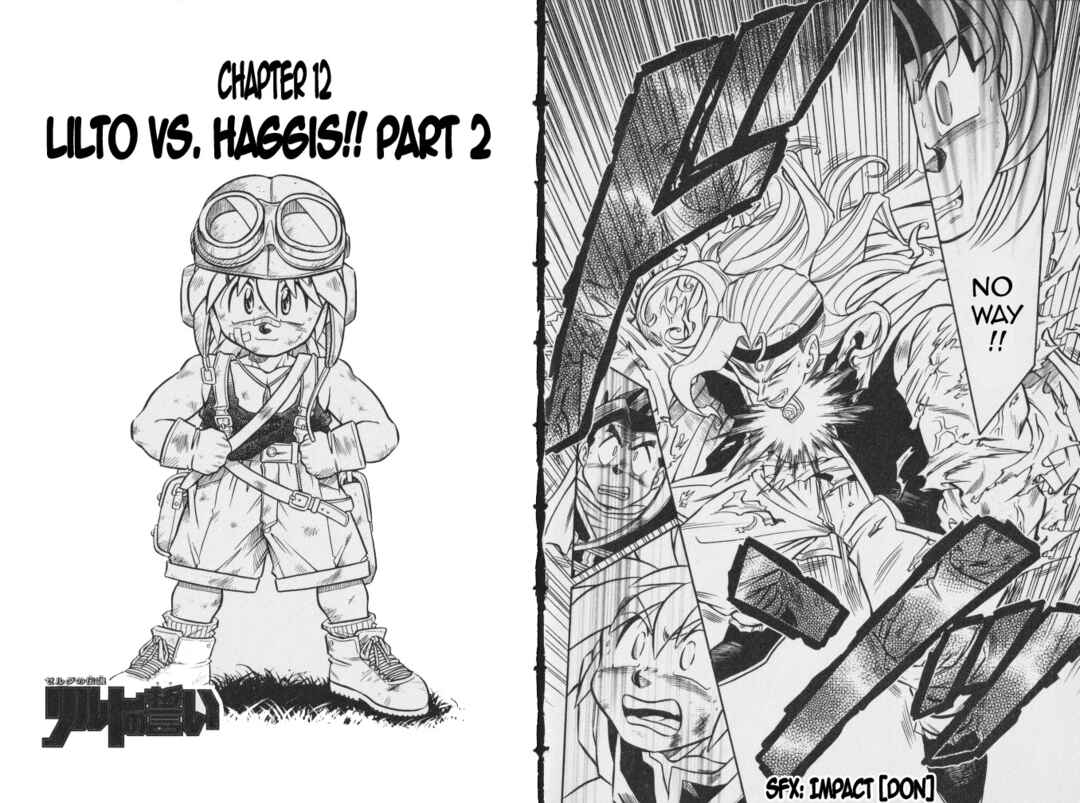 Page 21 Chapter 11 The Legend of Zelda: Oath of Lilto