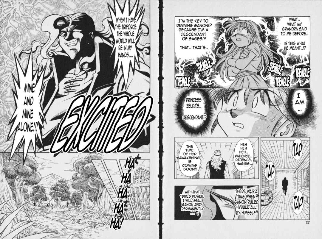 Page 8 Chapter 10 The Legend of Zelda: Oath of Lilto
