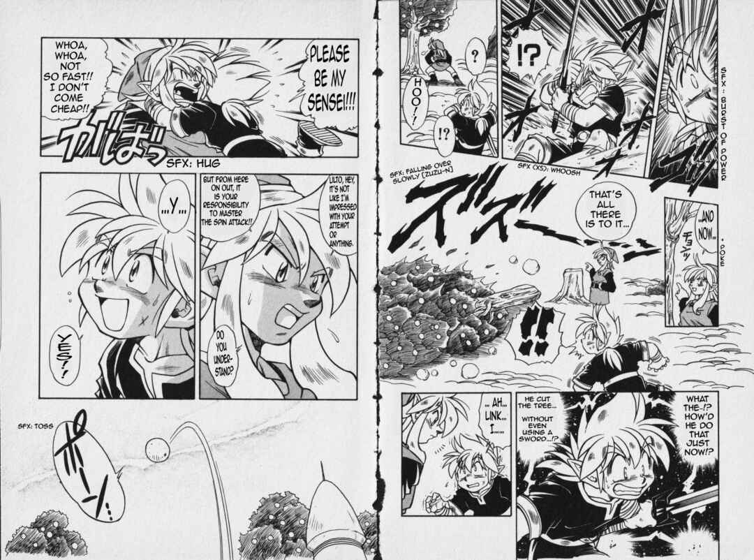Page 19 Chapter 3 The Legend of Zelda: Oath of Lilto
