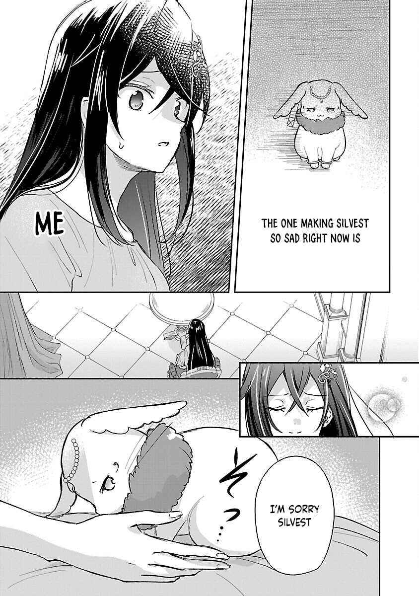 Page 27 Chapter 2 Iwai seijo ni Naremasendeshita. - Kono Mama suterusu shitai nodesuga, Akuyaku-gao to seirei ni Aisaretaishitsu no Sei de Yappari Iroiro Okorimasu