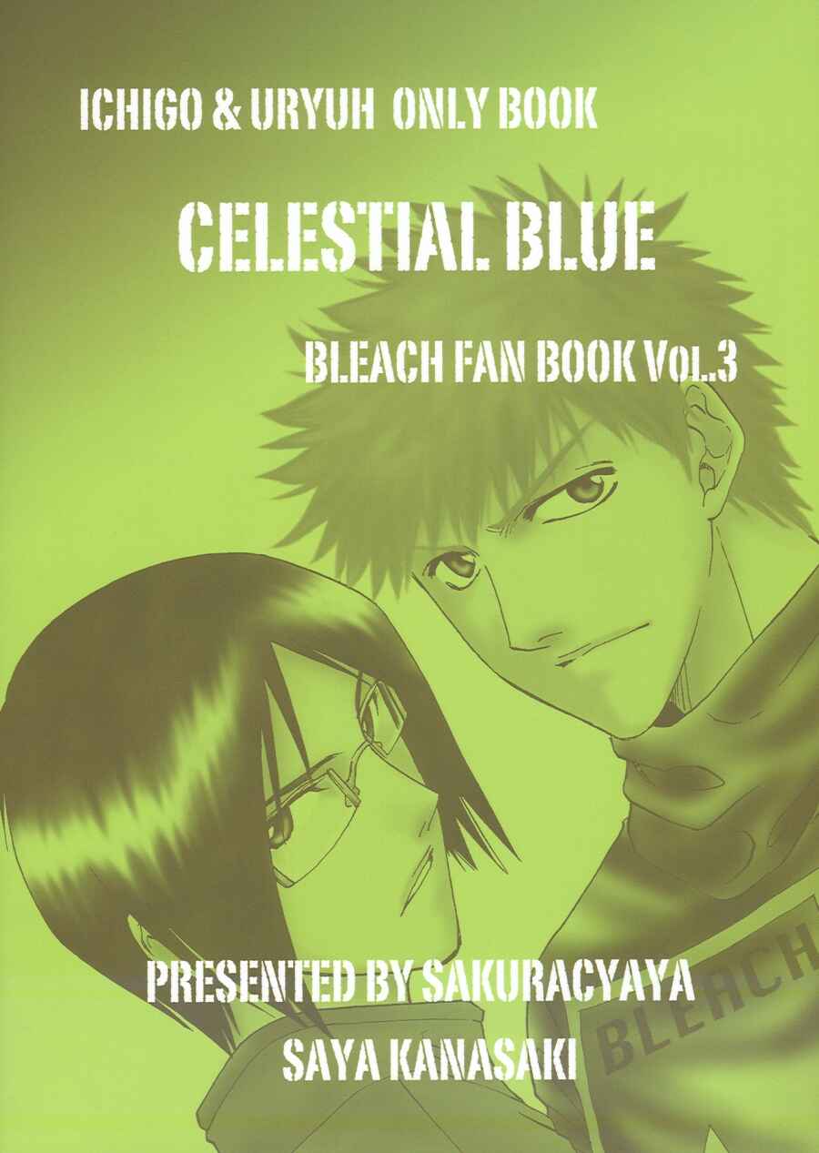Page 37 Chapter Unknown_18fd Bleach - Celestial Blue (Doujinshi)