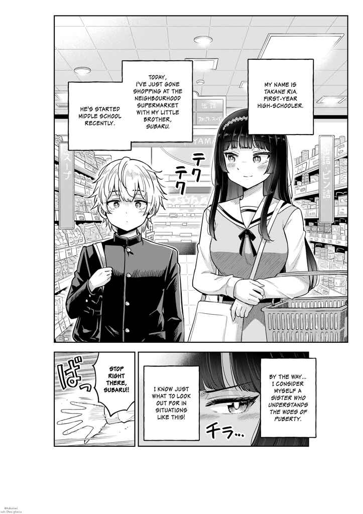 Page 1 Chapter Unknown_a972 Shishunki ni Rikai no Aru Ane no Hanashi