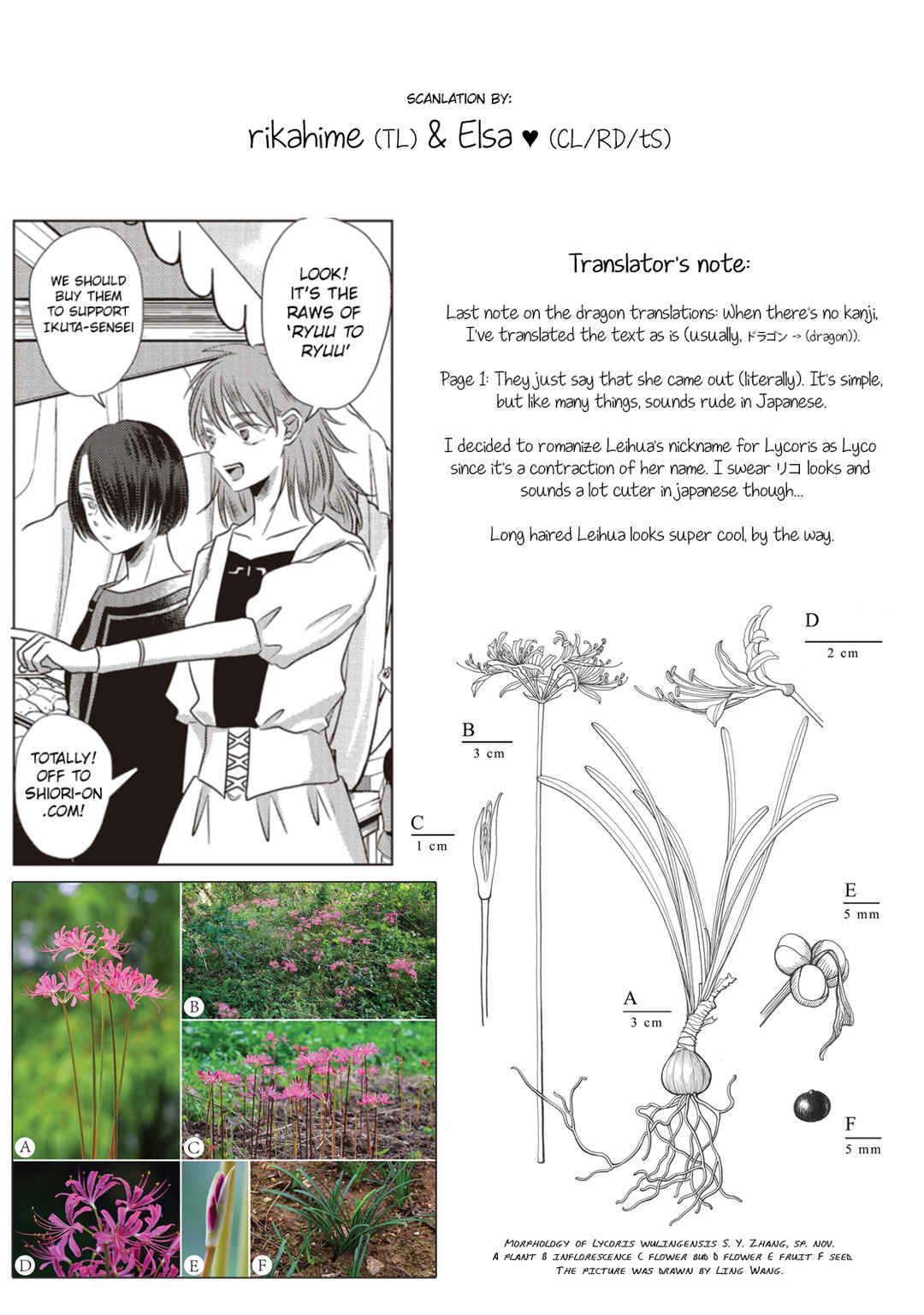 Page 13 Chapter 3 Ryuu to Ryuu no Kekkon