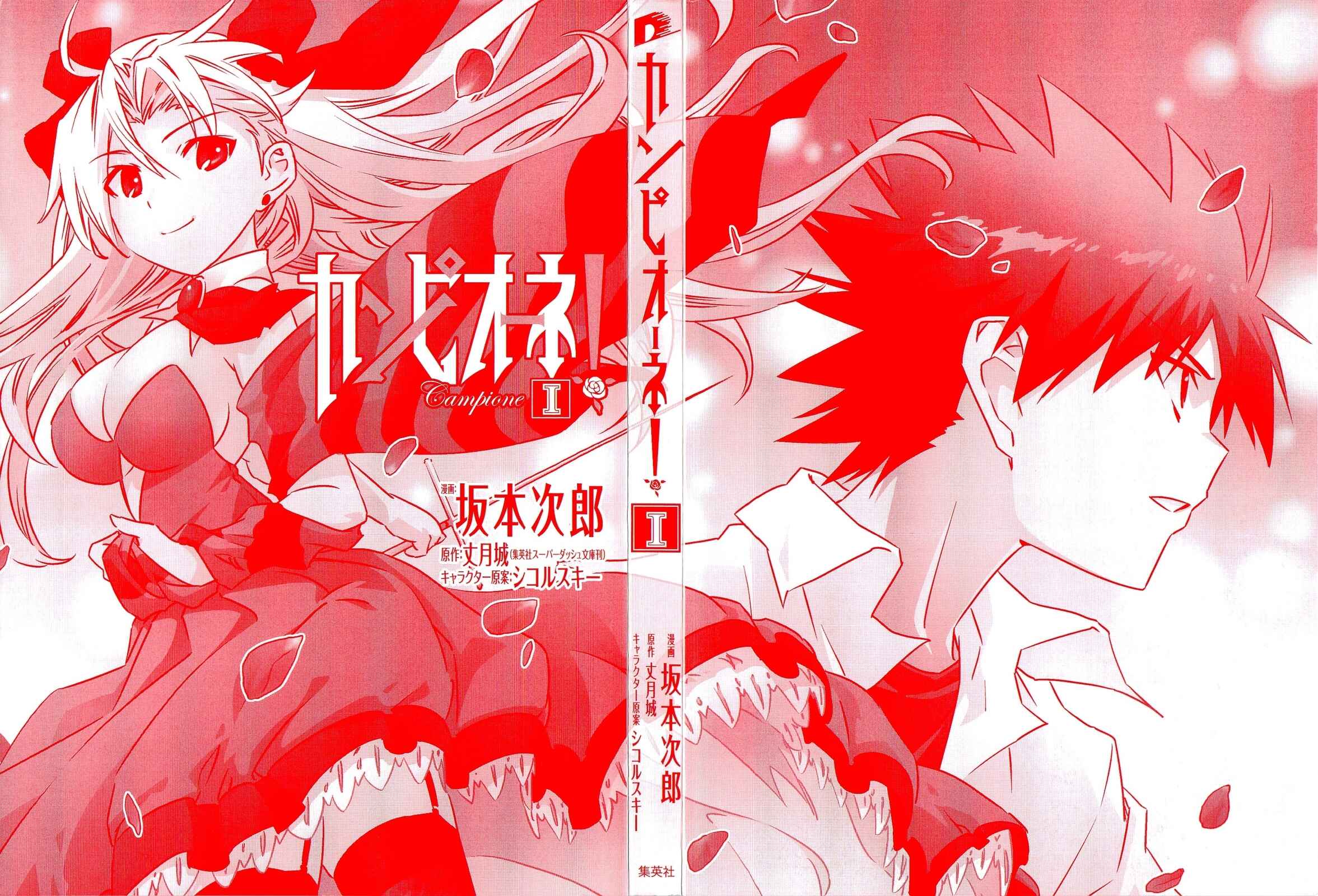 Page 4 Chapter 1.1 Campione!