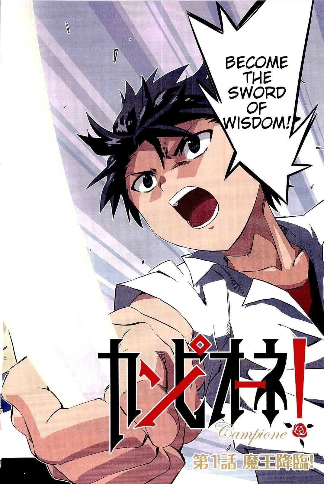 Page 6 Chapter 1.1 Campione!