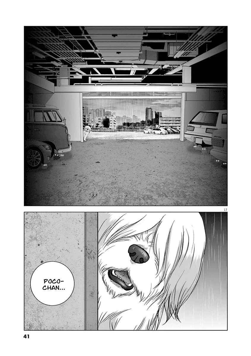 Page 17 Chapter 11 Wonderland