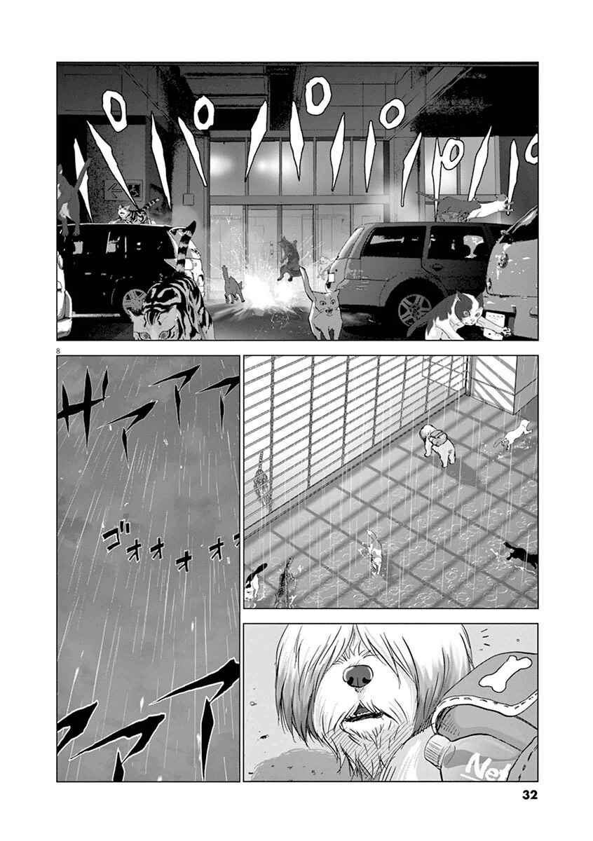 Page 8 Chapter 11 Wonderland