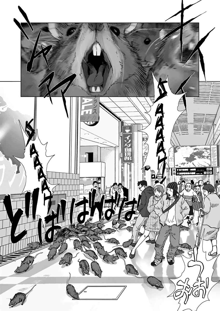 Page 6 Chapter 17 Wonderland