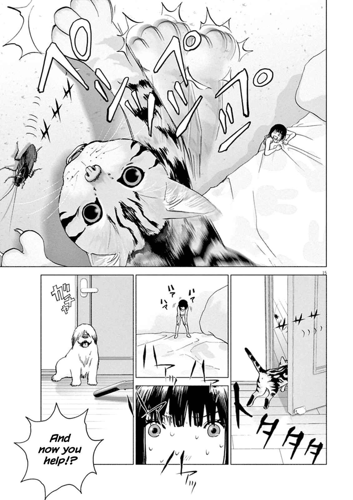 Page 13 Chapter 2 Wonderland