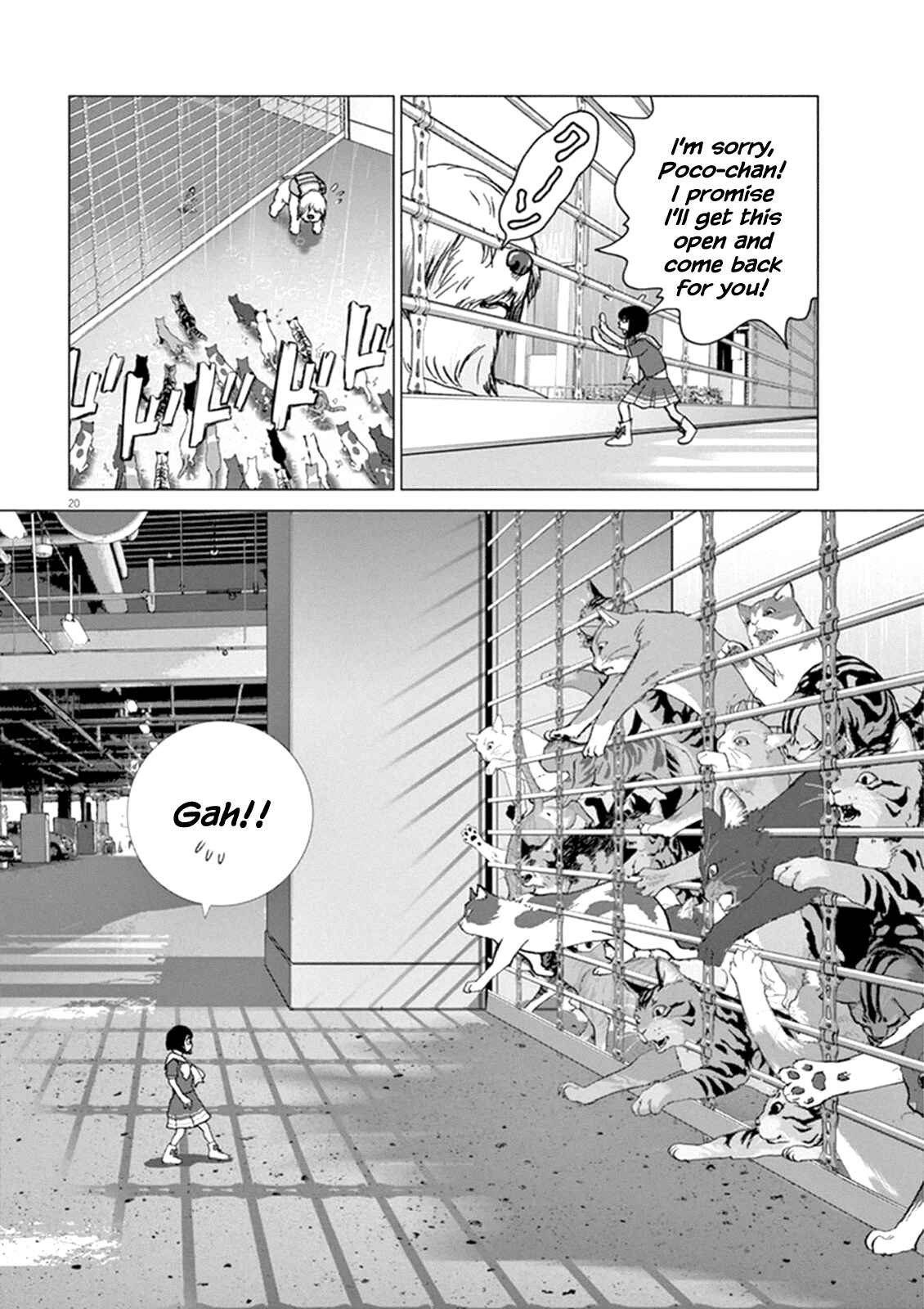 Page 16 Chapter 9 Wonderland