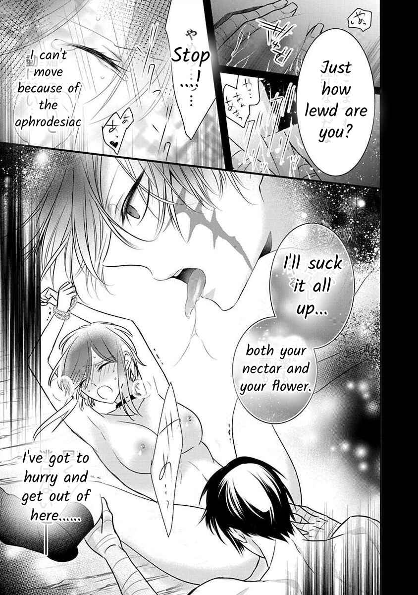 Page 14 Chapter 3.1 The Princess of Ecstatic Island